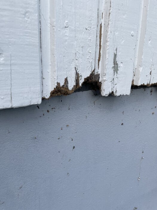 Fasadpanel med murket trä nedtill och avskavd färg.