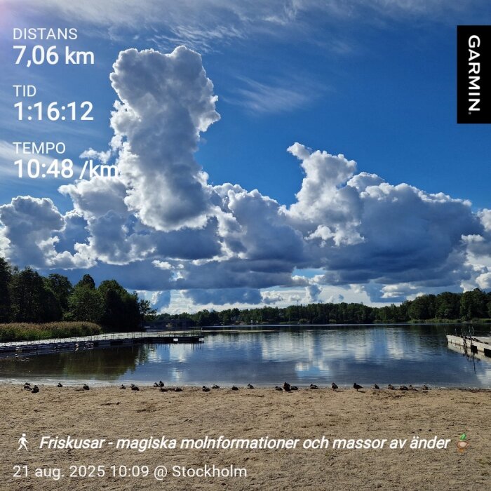 Strand vid en sjö med många moln på himlen och änder i sanden, omgiven av träd. Text med distans och tid längst upp till vänster.