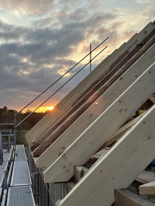 Takstolar på en byggarbetsplats vid solnedgång, med byggnadsställningar och träd i bakgrunden.