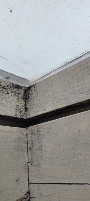 Takfönsterbalk med plankor i ett badrum, som visar svarta märken och orange utväxter, potentiellt oro för mögel.