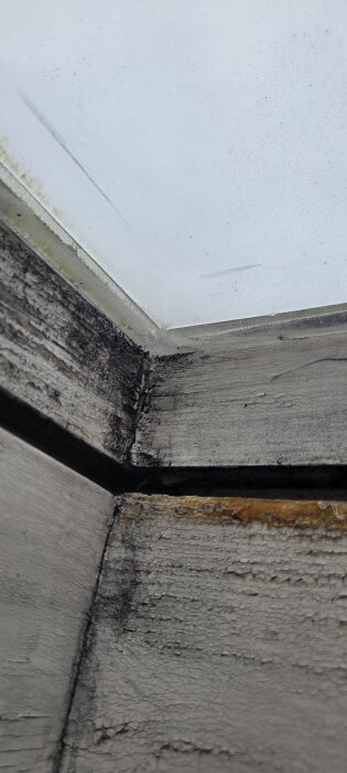 Takfönster med träplankor där svarta fläckar och orange:a utväxter syns, eventuellt mögel eller annan substans.