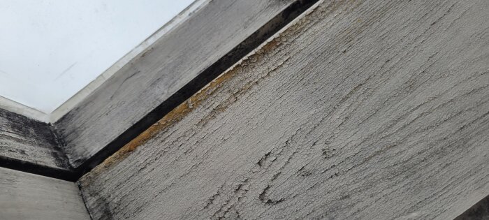 Takfönsteromgivning med plankor som har orange och svarta utväxter, möjligen mögel eller någon annan form av avlagring.