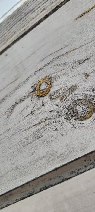 Grå träplanka med sprickor och orange utväxter i ett badrumstakfönster, potentiellt mögel eller annan typ av utväxt.