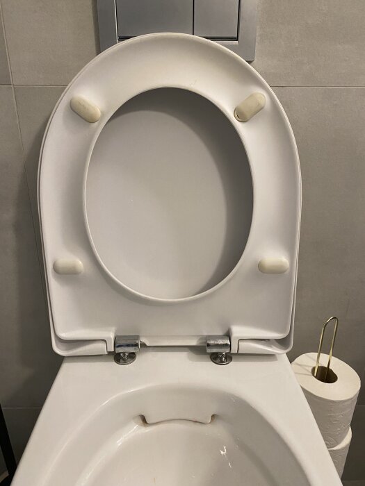 Toalettsits av okänd modell med locket uppfällt, fäste och detaljer synliga. Toalettpappershållare till höger.