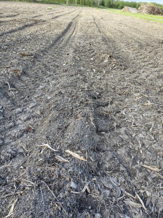 Ett stort område med jord och märken från maskiner. Bakgrunden visar några staplade timmerstockar och lite vegetation.