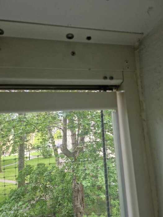 Övre del av glasdörr med gångjärnsjustering, synlig metalllist och skruvar. Utsikt mot grönskande träd på andra sidan.
