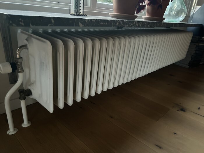 Vit sektionsradiator under fönster, omgiven av trägolv och dekorerad med krukväxter ovanpå.