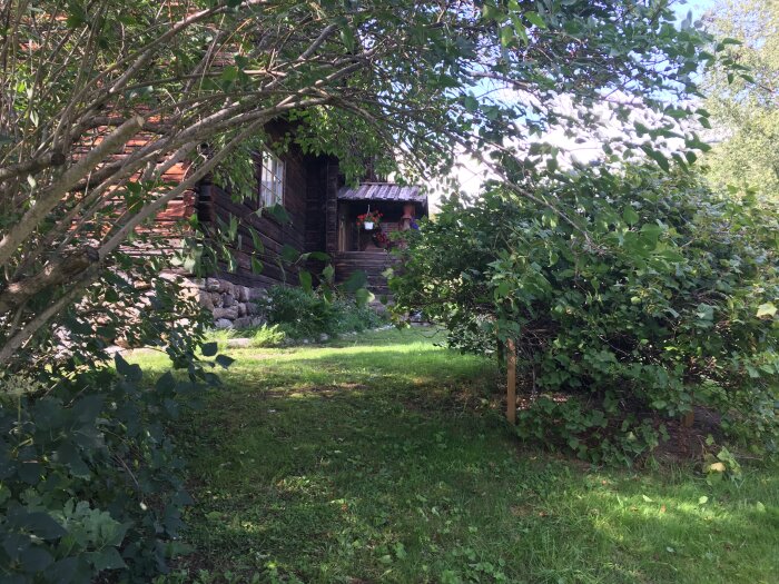 Trähus omgiven av grönska, med stenväggar och hängande blommor vid ingången, beläget i en solig trädgård med buskar och träd.