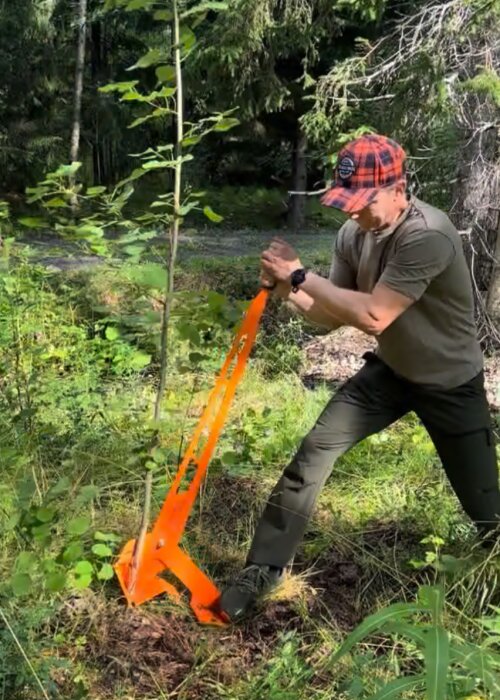 Person använder en orange slyuppdragare för att dra upp en ung planta i en skog.