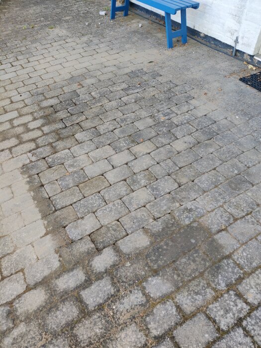 Återställd stenlagd yta framför entré, tydligt markerad reparation med återplacerade plattor, synlig blå bänk och ljus vägg i bakgrunden.