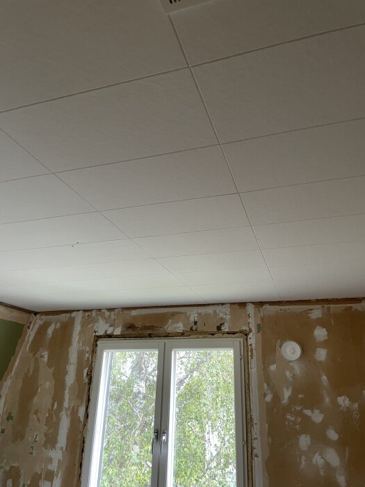Rum med vita takplattor, fönster med utsikt mot träd, och väggar under renovering.