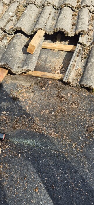 Plattor på taket flyttade för att avslöja svarta plankor och byggmaterial, potentiellt fuktproblem undersöks.