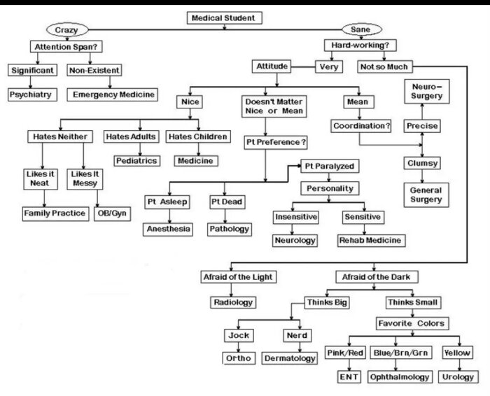 Flödesschema som visar hur medicinstudenter kan välja specialisering utifrån personliga preferenser och egenskaper.