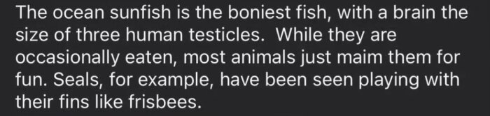 Text om ocean sunfish, dess benstruktur, hjärnstorlek och hur sälar leker med dess fenor.