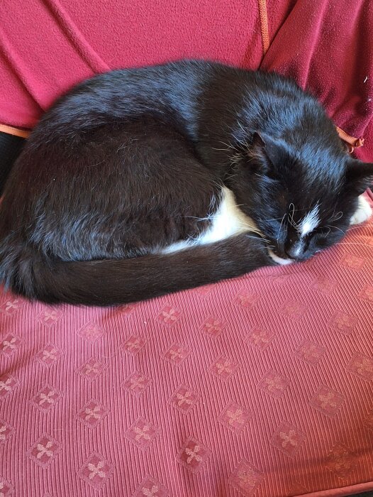 Svartvit katt sover ihopkurad på en röd soffa.