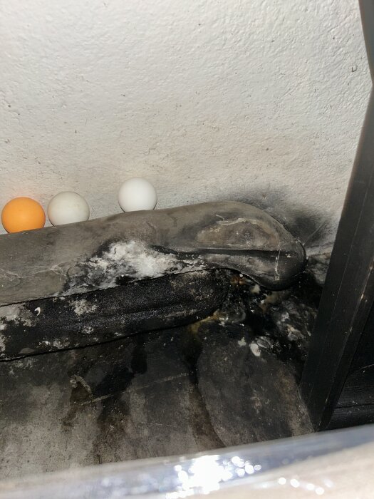 Rör i gammalt garage med misstänkt mögel eller svamp på och runtom, delvis fuktig yta, några färgade bollar i bakgrunden.