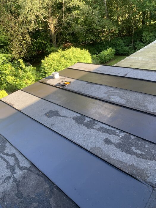 Svetsad papp och målad plåt på tak med skog i bakgrunden, verktyg och en hink syns också.