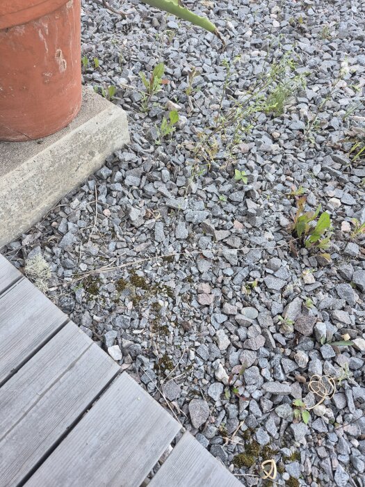 Uppfart med grov sten och grus, omgivet av träplank och betongkant, med ogräs som växer mellan stenarna.