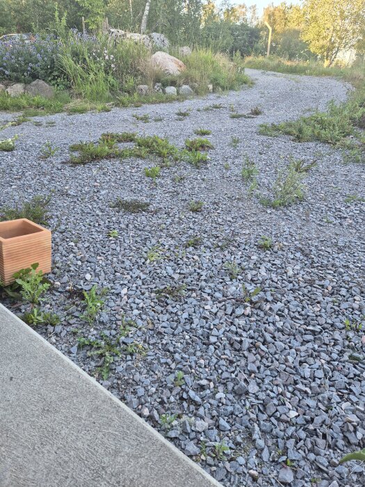 Nyuppfart med grov kross och sporadiska växter, omgiven av natur, med en tegelkruka i förgrunden.