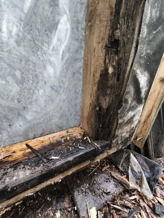 Skadad väggregel och syll på attefallshus, med synlig fuktskada och spånplatta (OSB) i bakgrunden efter att ha tagit ner väggen för att undersöka felet.