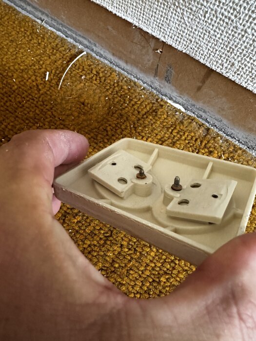 Närbild på en hand som håller en borttagen eluttagsplatta framför en vägg med nyrenoverat gips och gammalt gult heltäckningsgolv.