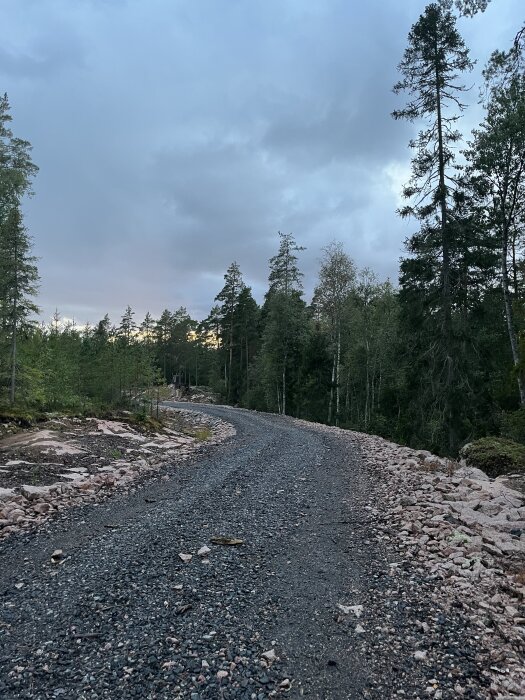 Grusväg genom skog med träd längs sidorna under en mulen himmel.