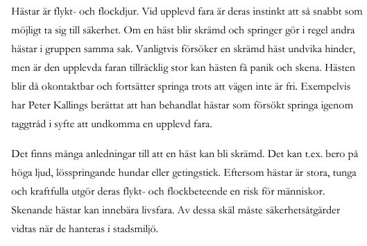 Text om hästars flykt- och flockbeteende och risker vid skenande hästar.