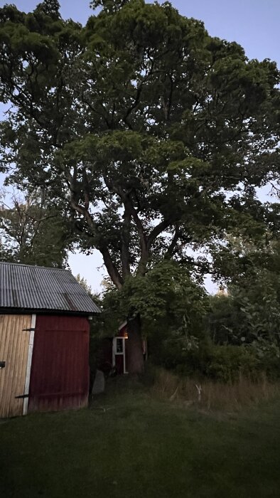 Träd vid ett rött hus på en kvällsbelyst tomt, med önskemål om belysning underifrån.