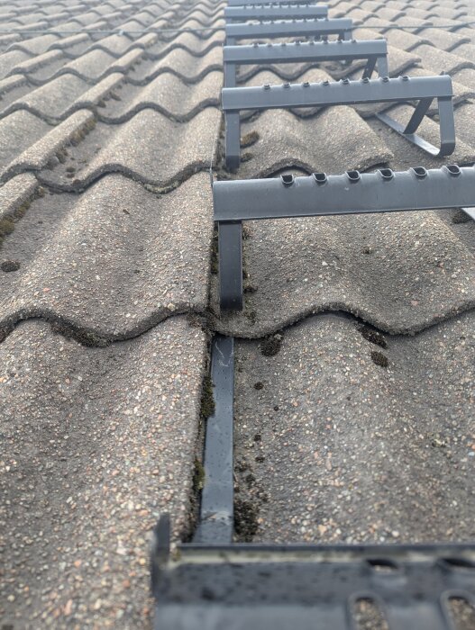 Tak med mörka takpannor, steg monterade. Flera pannor spruckna, antyder problem med stegens storlek och installation. Mossa växer i skarvarna.