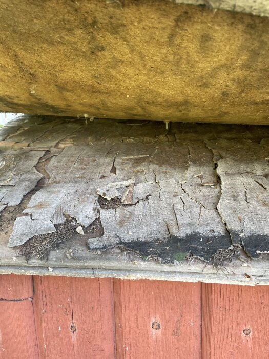 Tak med sprucken yta och material som liknar hård juteväv med utskjutande trådar under takplåt, ovanpå röd vägg.