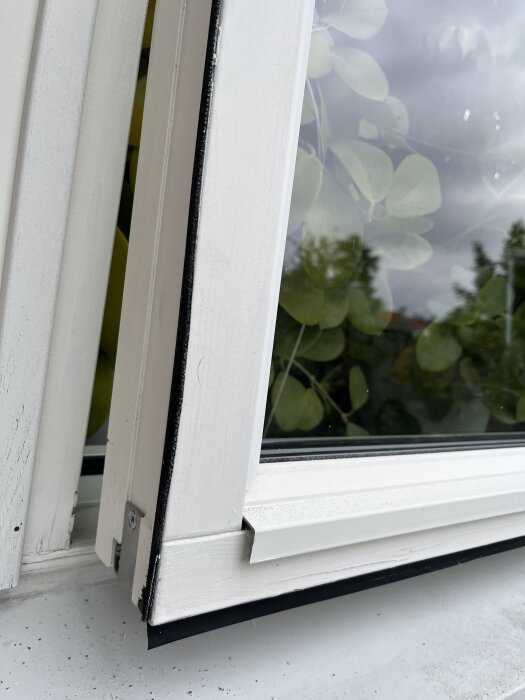 Närbild av öppet vitt Elitfönster med gammal, spröd list runt kanten, synliga tecken på deformation och växtlighet i bakgrunden.