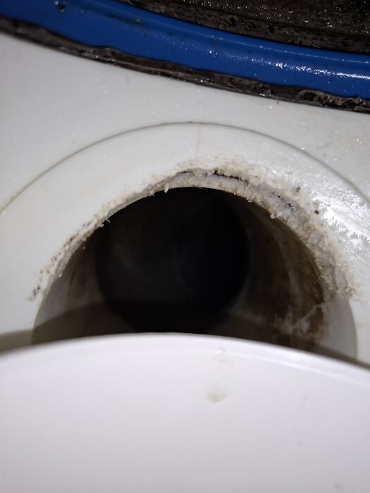 Hål gnagt av råtta i en golvbrunn i duschen, visar skador i ovankant av röret.
