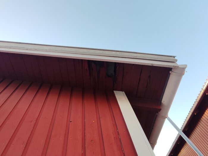 Utskjutande del av rött radhus från 1981, skadat av vattenläckage där takpappen inte viks upp, synliga brädor och vit hängränna.