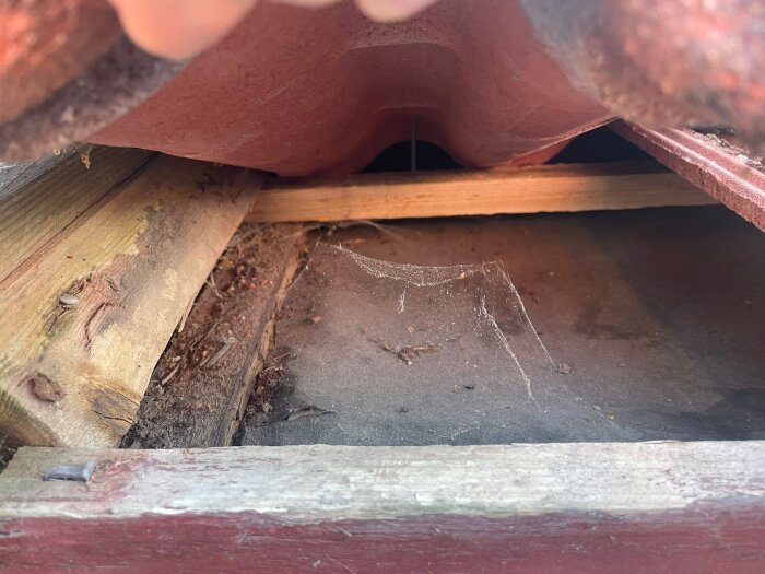 Skadad takpapp under brunt taktegel på radhus från 1981, med synligt trä och spindelnät, visar behov av reparation för att hindra regnvattenläckage.