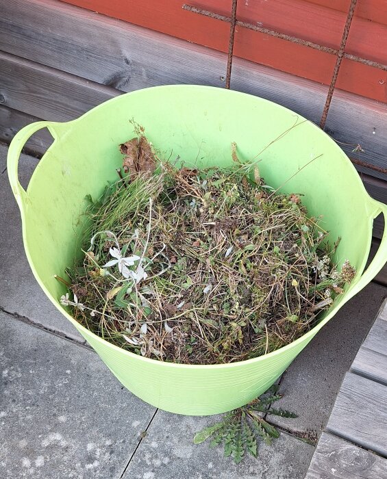 Grön plastkorg fylld med torra växtrester och ogräs på stenlagd yta.