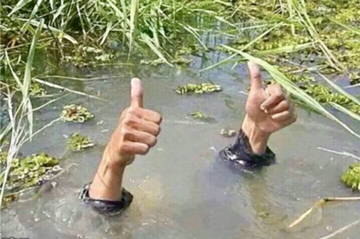 Två händer i gyttjigt vatten ger tummen upp medan resten av kroppen är under ytan, omgiven av vattenväxter.