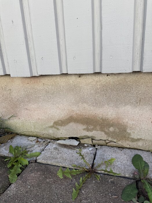 Skadade plattor av komposit eller sten vid husgrund, omgivna av ogräs.