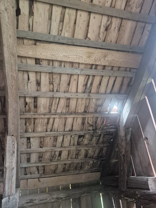 Takstrukturen i ett gammalt hus med synliga takstolar och sliten träpanel. Ett hål i panelen där ljus släpps in.