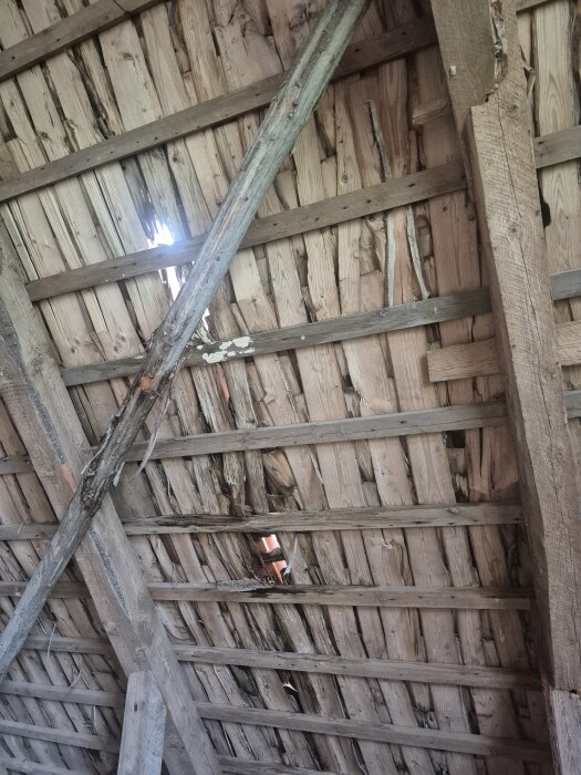 Tak med slitna och trasiga träpaneler och hål som släpper in ljus.