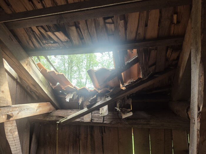 Skadat tak med trasiga takpannor och ruttna träbjälkar, visas underifrån mot himlen.