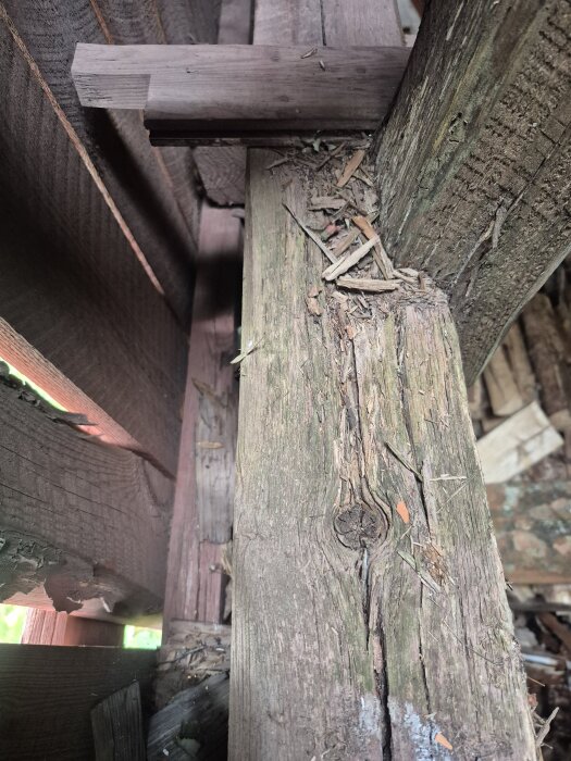 Gammal och sliten takstol av trä med sprickor och sönderfallande yta, omgiven av andra trädetaljer i en byggnad.