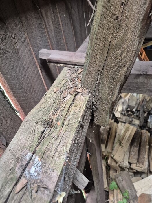 Takstol av trä med synliga skador och sprickor, omgiven av staplade brädor i en byggkonstruktion.