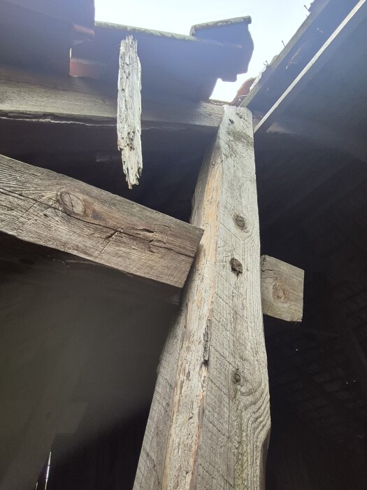 Takstolsskarv med slitna träbjälkar i en byggnad, där den översta bjälkens ände är skadad.