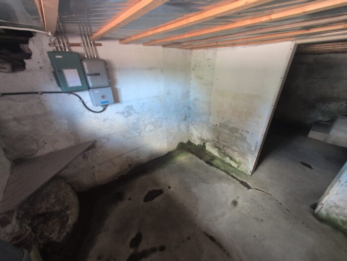 Fuktig källare i äldre hus med golv och väggar täckta av mossa, samt synliga stenar. Elektriska paneler på väggen.