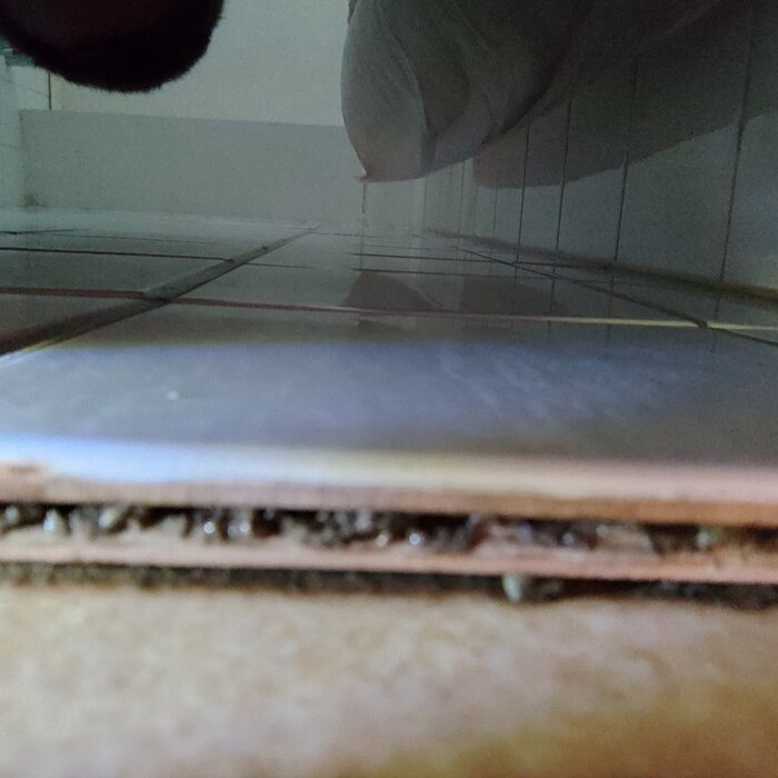 Närbild av kakel som visar ett dubbelt lager med möjlig fukt- eller mögelskada i skarvarna.