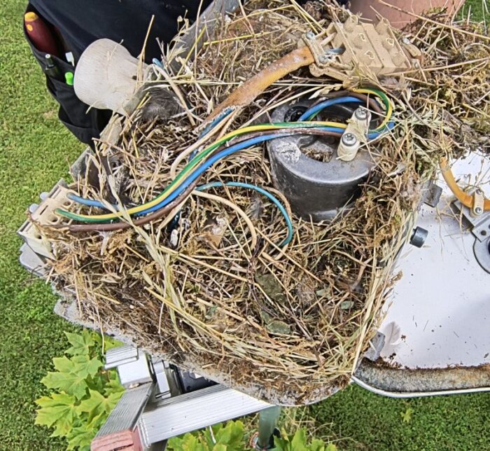 LED-lampa i gammal stolparmatur full av fågelbo och kablar, på en grön gräsmatta.