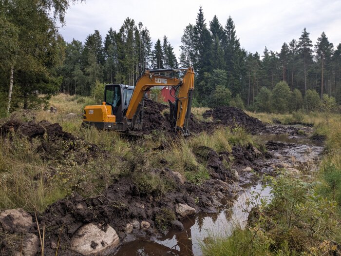 Bild på en grävmaskin som gräver i en skogsdunge för att skapa en damm. Jorden är lerig och det finns vattenpölar runt maskinen.