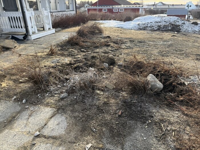 Oordnad trädgård med vissna buskar och snöfläckar vid ett hus, jorden verkar omrörd. Vintern har lämnat platsen i oreda.