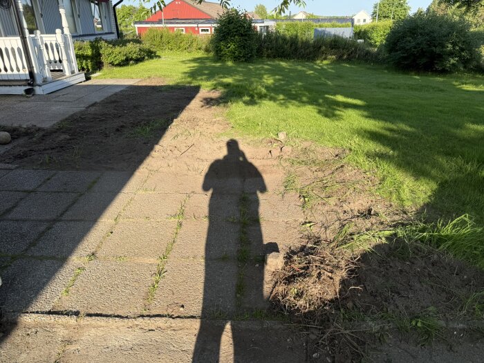 Skugga av en person på stenplattor bredvid gräsmatta, nyligen röjd buske nära huset.