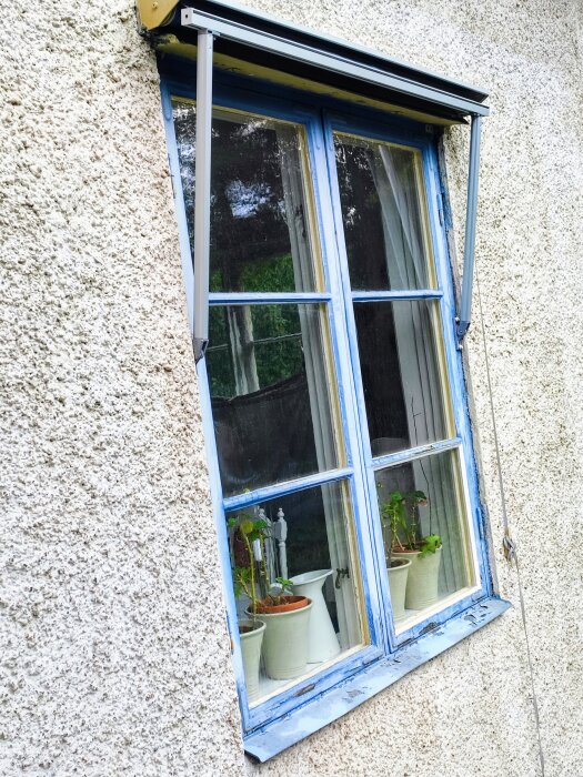 Fönster med blå träram på reveterad fasad, krukväxter syns innanför glaset, diskussion om fogning runt fönsterkarm vid renovering.